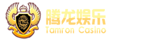 腾龙游戏官网SSL安全加密认证